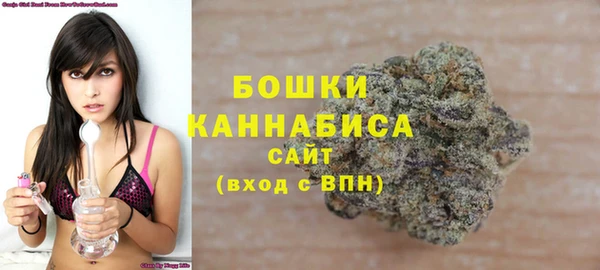 apvp Михайлов