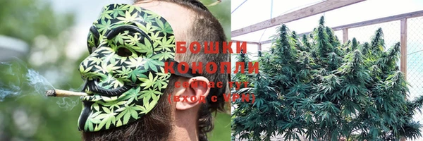 apvp Михайлов