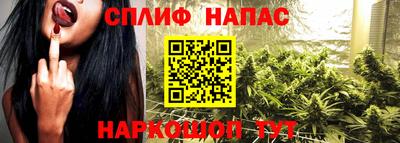 стаф Малоярославец