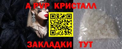 Альфа ПВП Малгобек