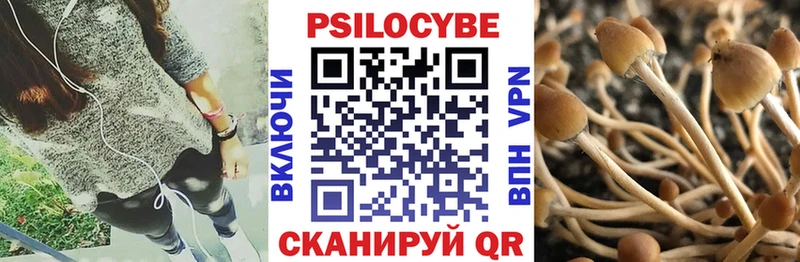 сколько стоит  Янаул  Галлюциногенные грибы Cubensis 