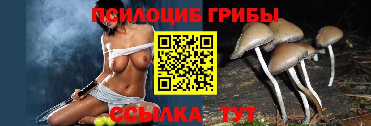 Янаул  дарнет шоп  Вход с VPN  Галлюциногенные грибы GOLDEN TEACHER 