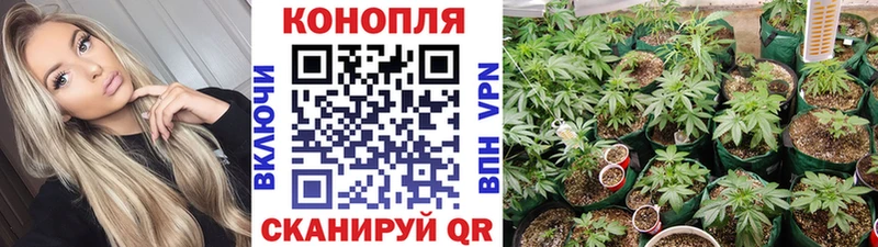 Канабис White Widow Янаул